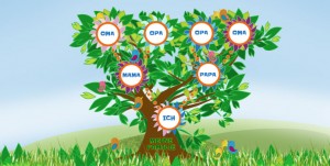 4_de-Stammbaum.jnews2024-4272-694-w